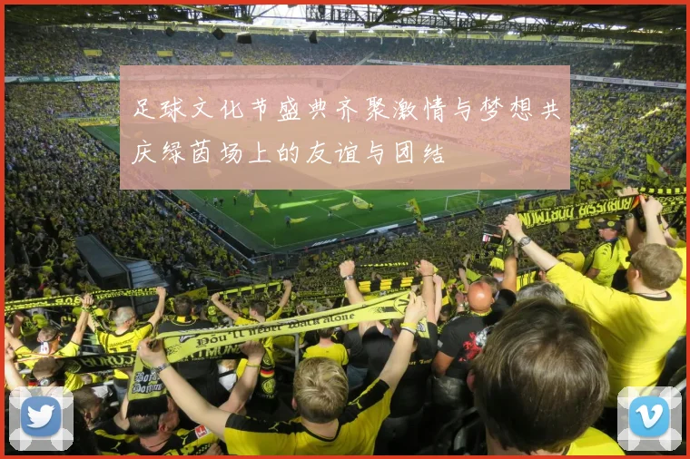 足球文化节盛典齐聚激情与梦想共庆绿茵场上的友谊与团结