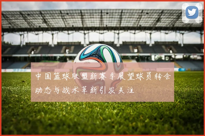 中国篮球联盟新赛季展望球员转会动态与战术革新引发关注